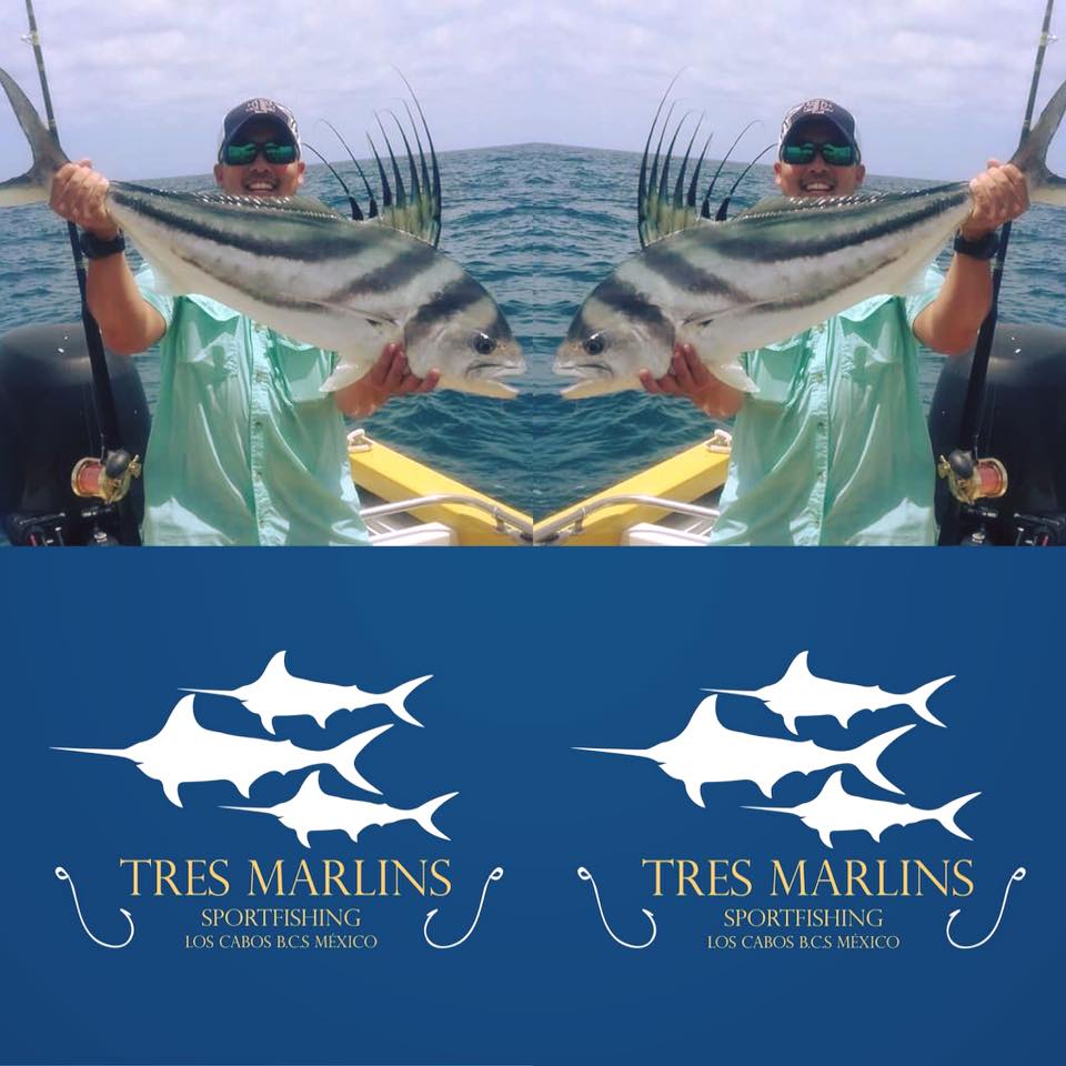 agust-season-los-cabos-fishing-report-tres-marlins-sportfishing