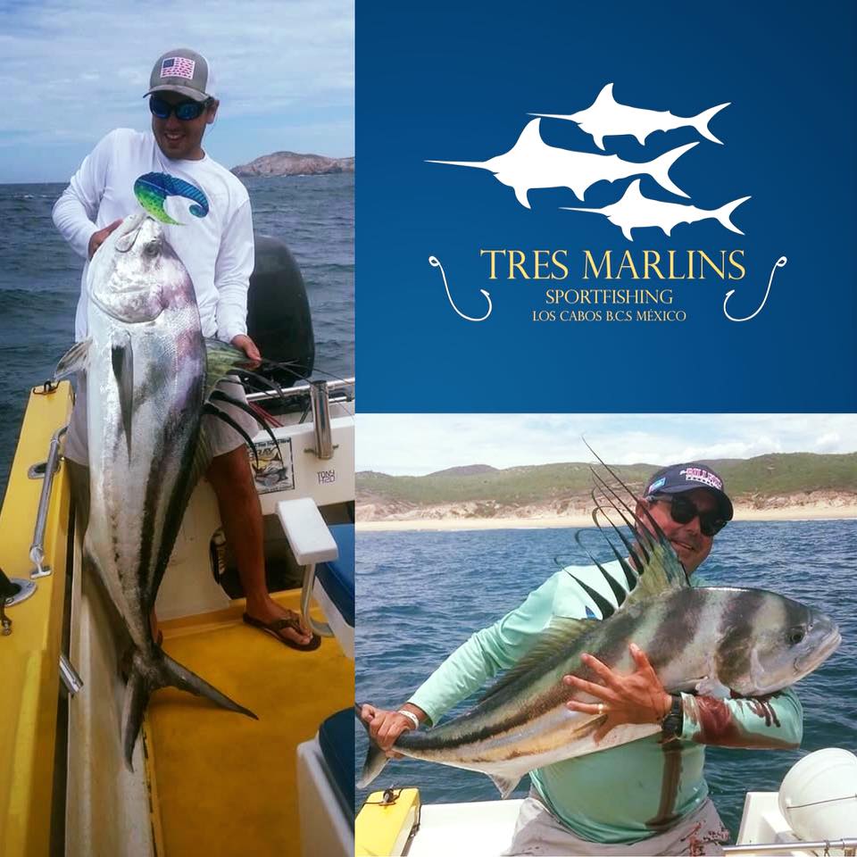 los-cabos-season-agosto-tres-marlins-fishing